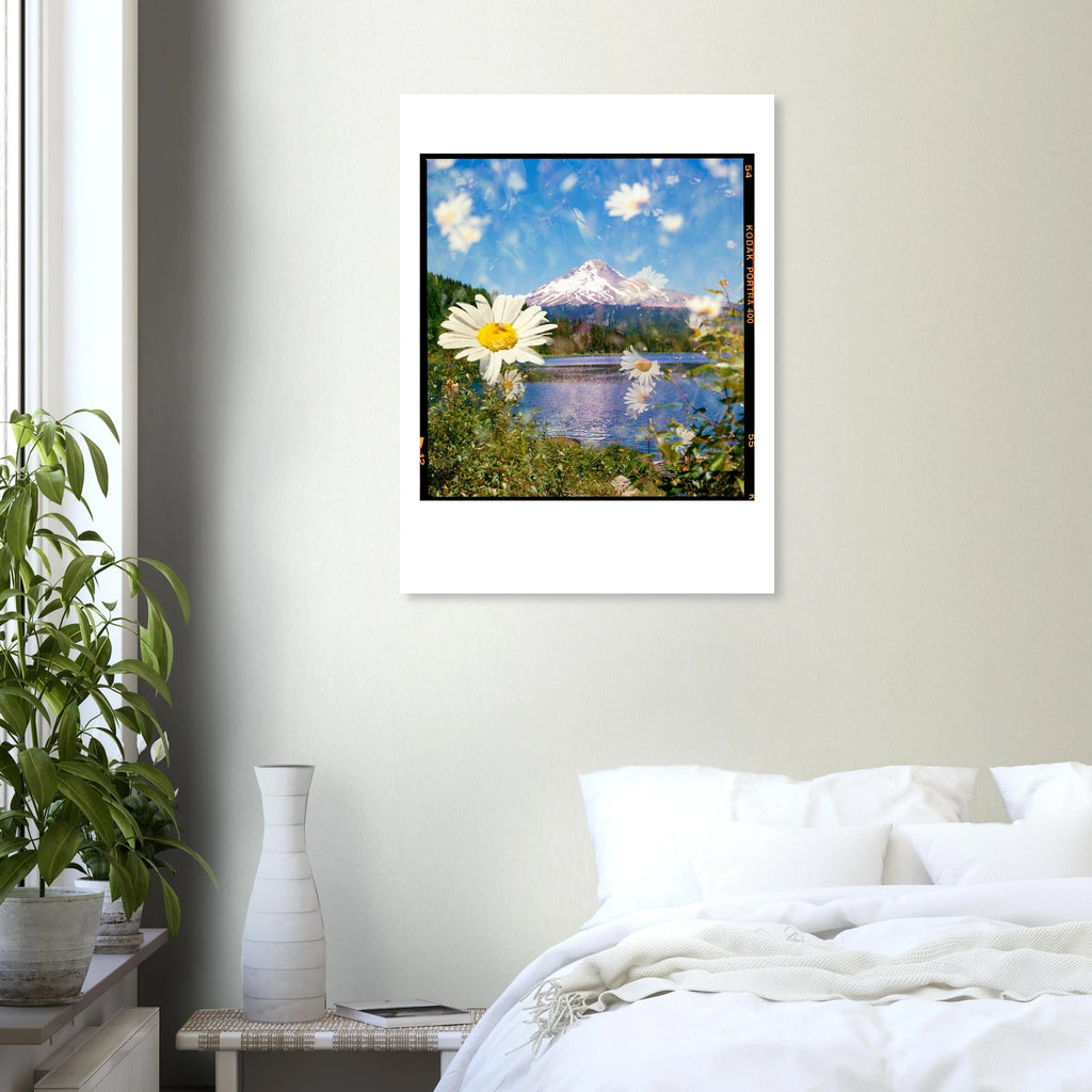 3c0e88f4-7528-4c72-baef-a3a3911522c9