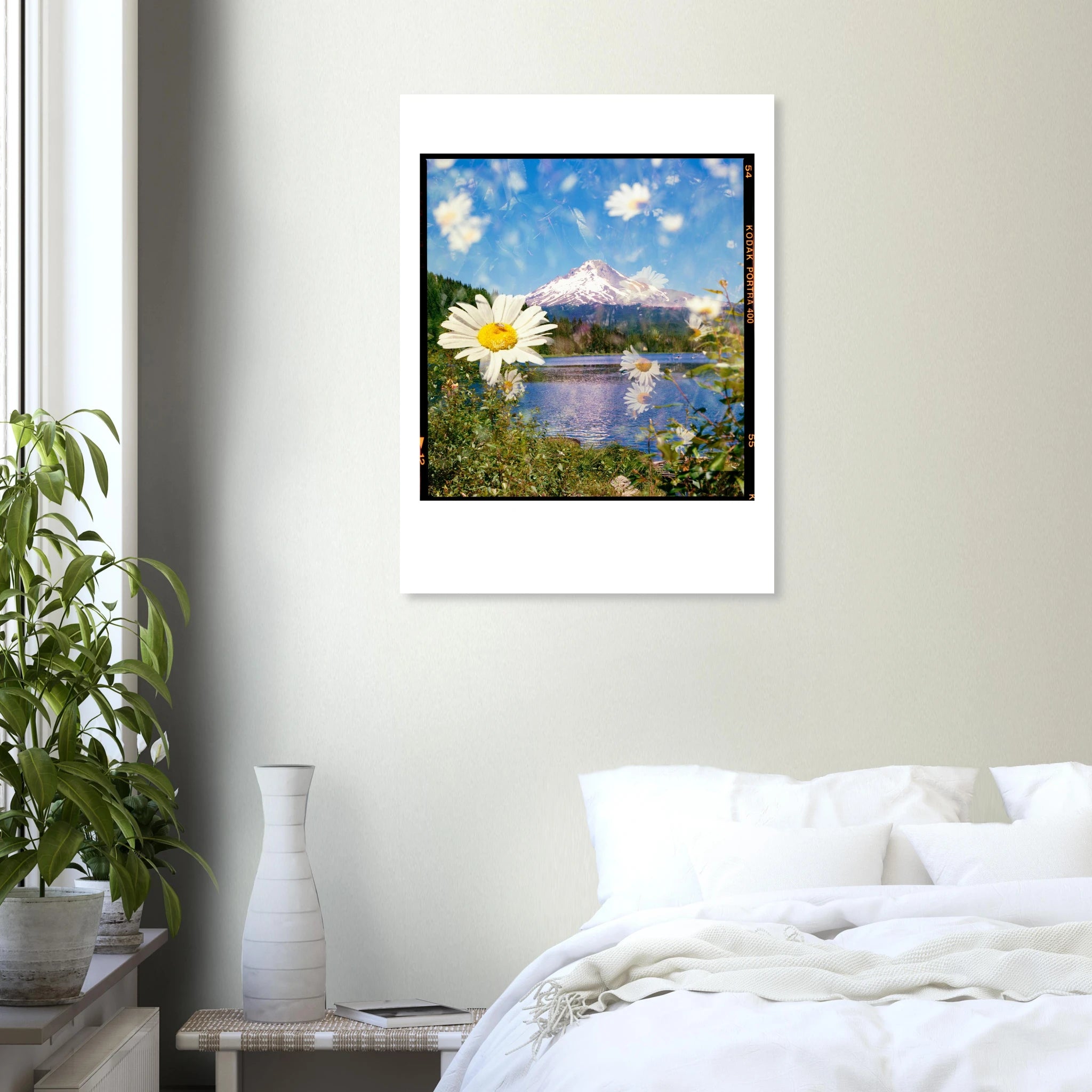 3c0e88f4-7528-4c72-baef-a3a3911522c9