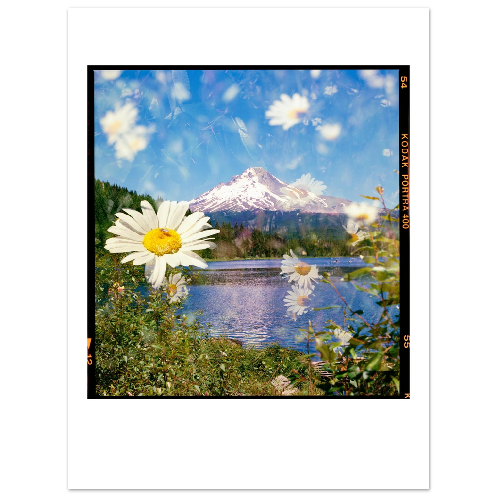 53570f39-d25a-4ea5-8e6a-8d4953e55f72