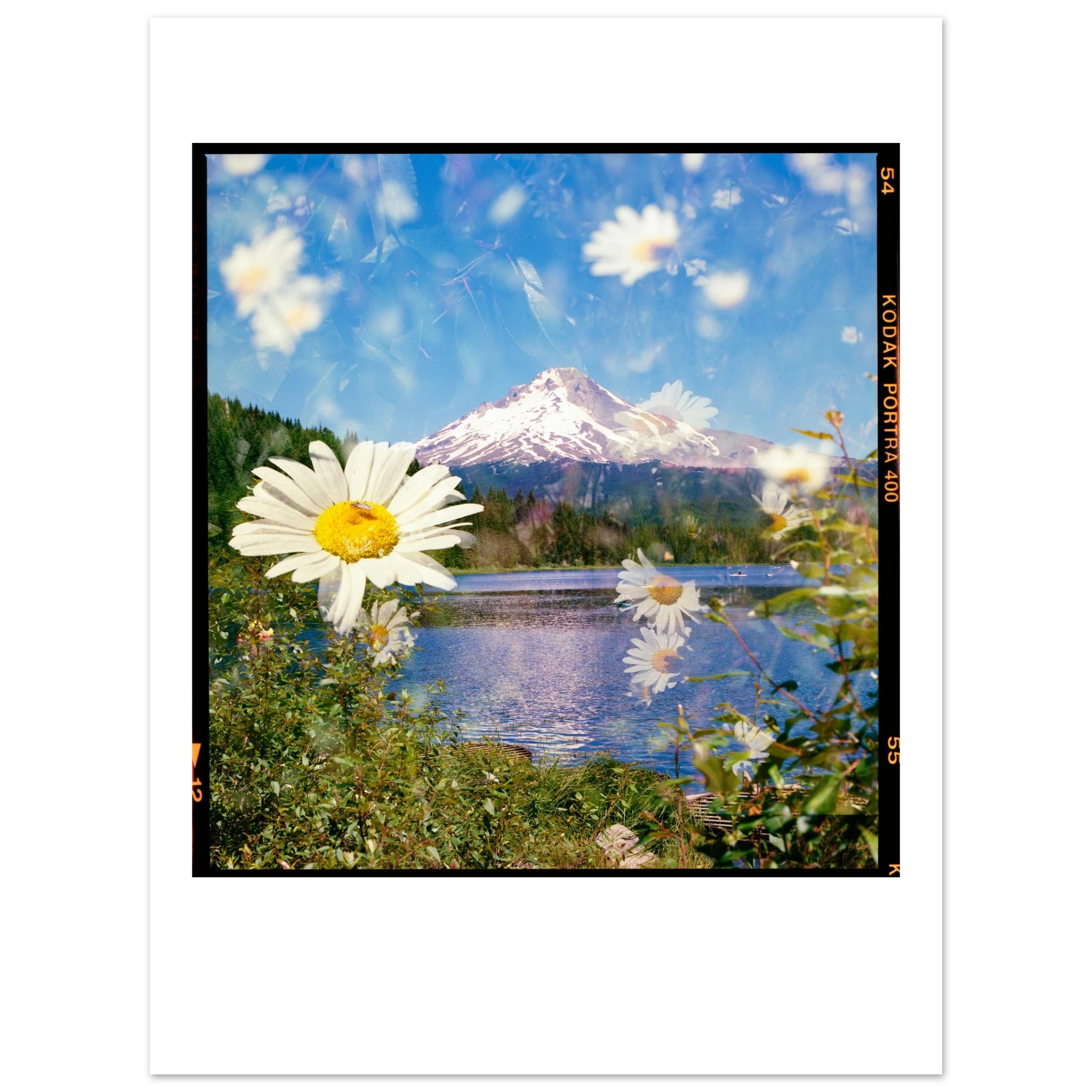 53570f39-d25a-4ea5-8e6a-8d4953e55f72