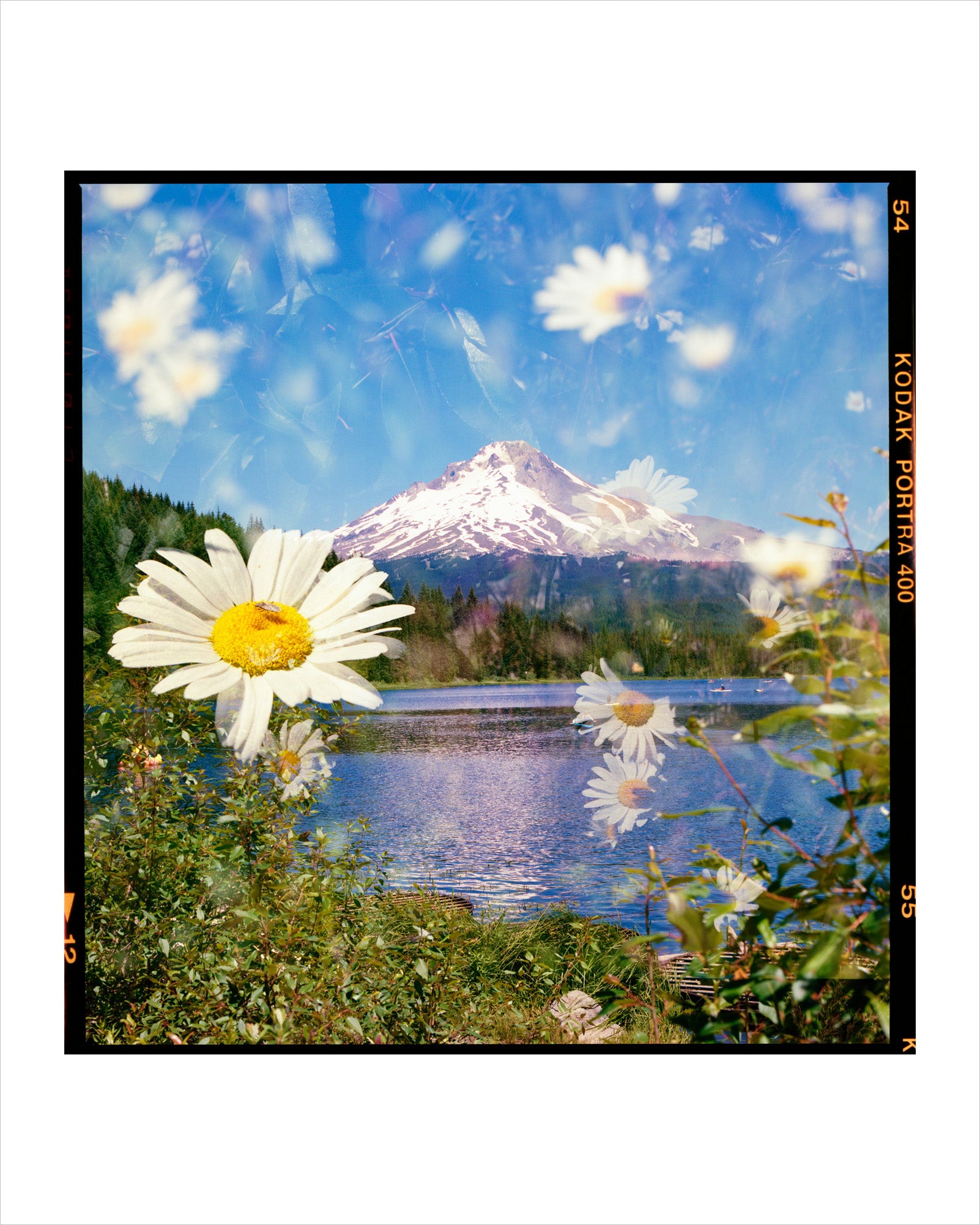 Amelia Rose Scherker - Trillium Lake