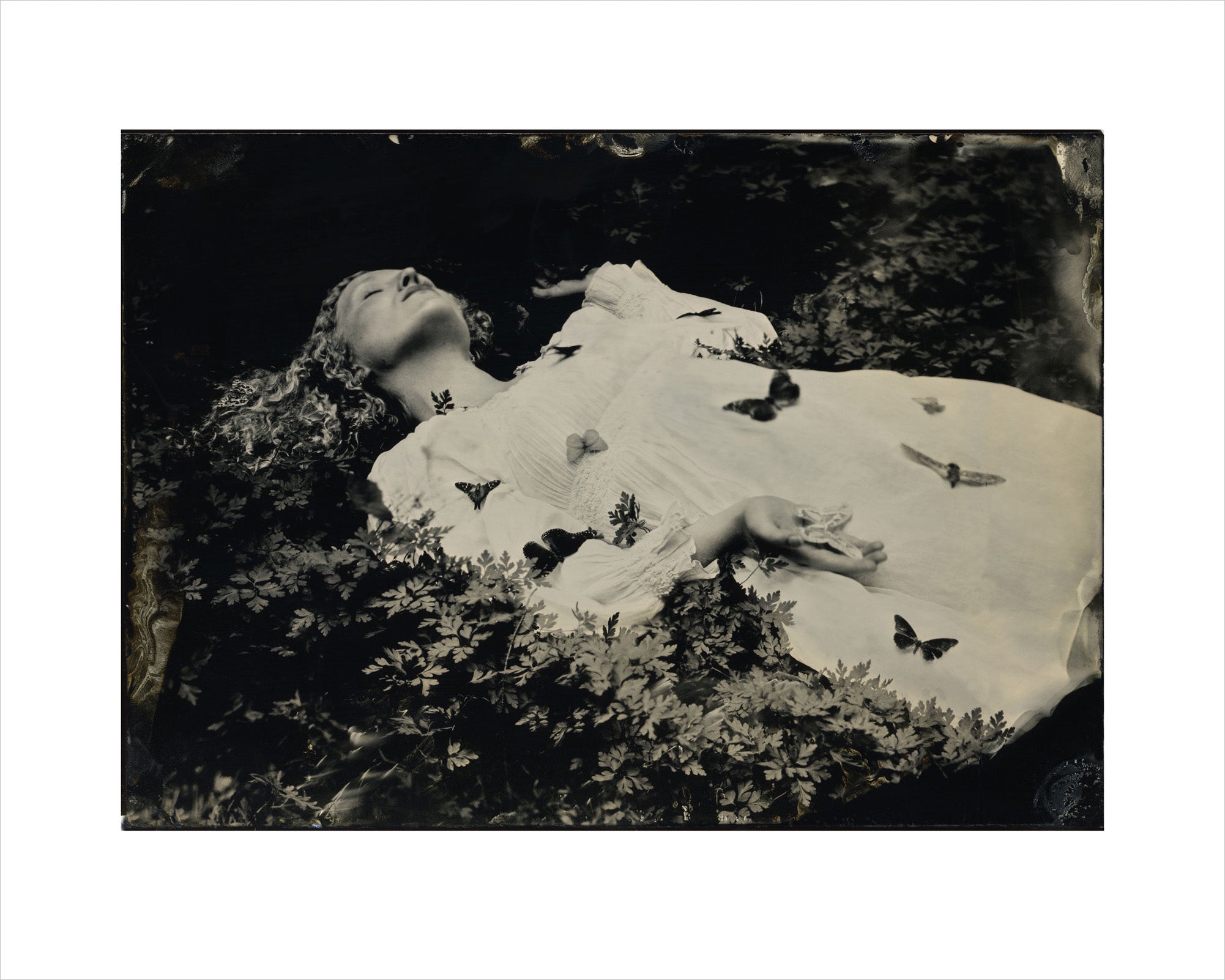 Ashley Jennings - Terra Ophelia