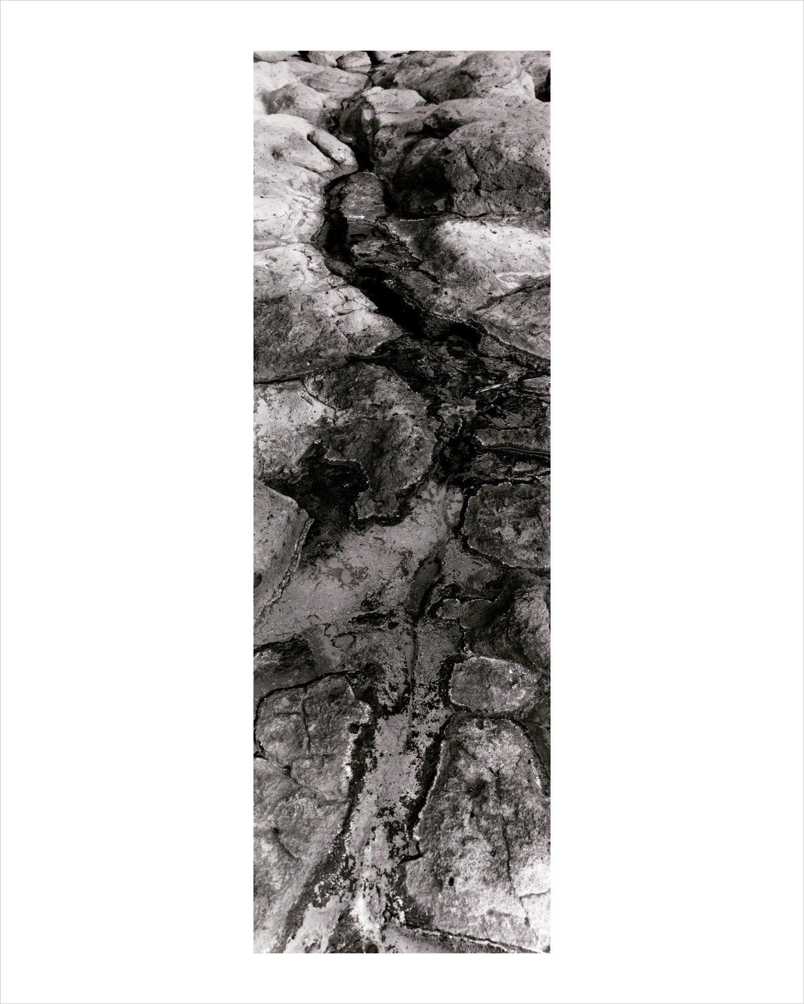 Cory Free - Red Scorcia