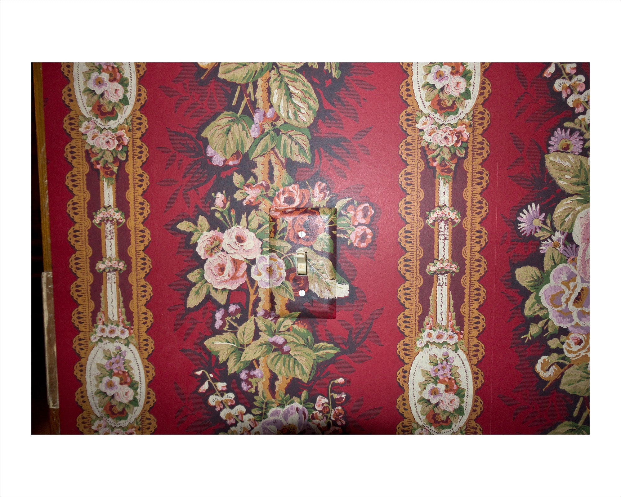 Dot Glenn - The Art of Camouflage